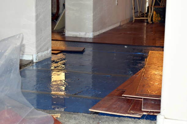 Professional Sewage Cleanup technician working in Cushing, ME